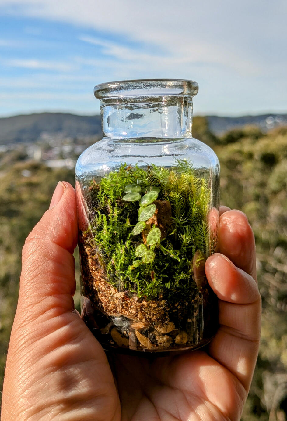 XS custom bottle. H12cm x W6cm