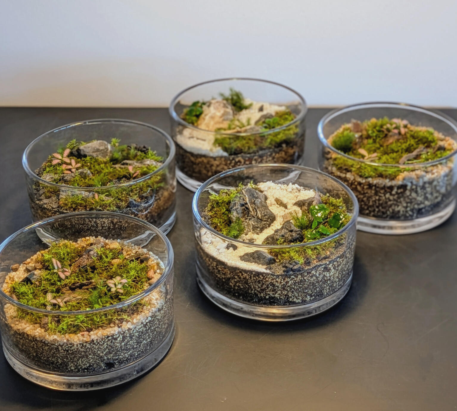 Uwami 上見 H8cm x W15cm