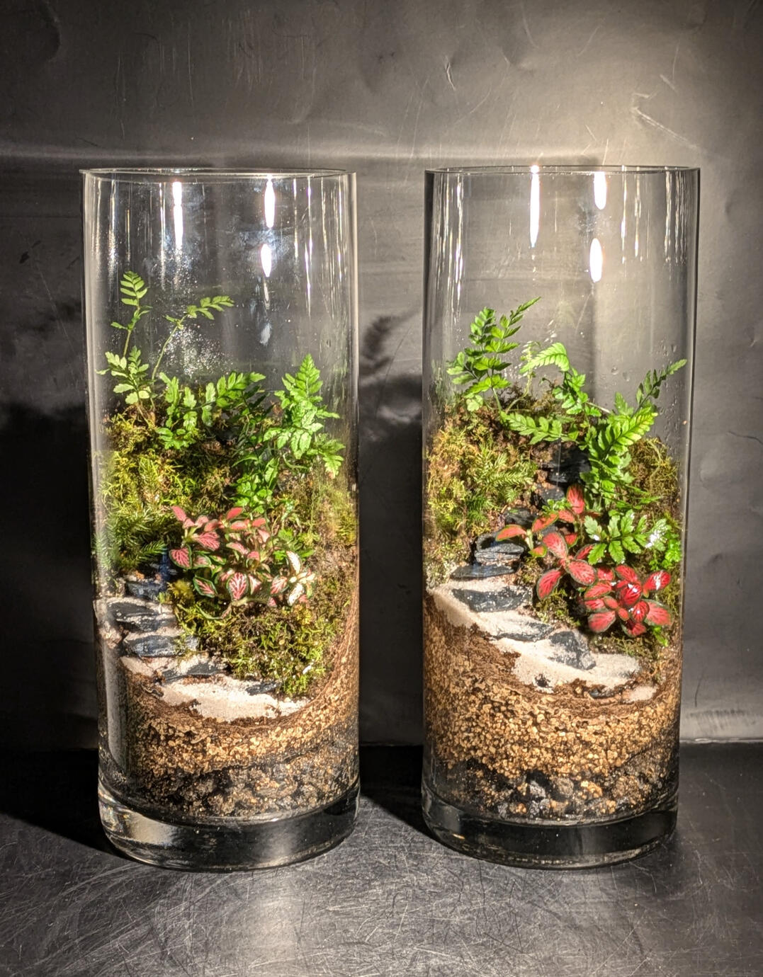 Fern spiral シダの螺旋 Concept from Australian rainforest. H25cm x W10cm