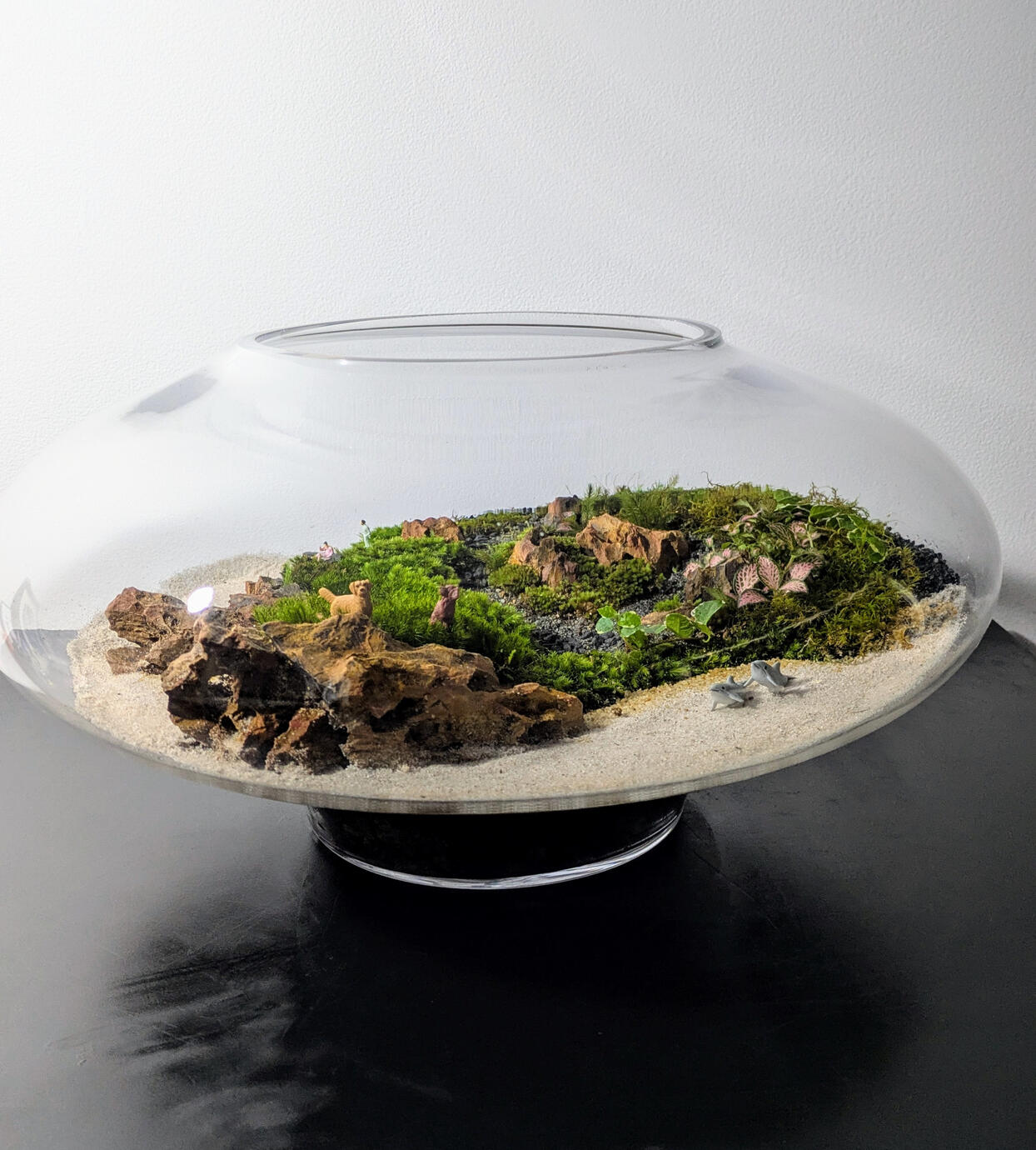 Terrigal Haven テリガルヘイブン Landscaped from Terrigal in the NSW Central Coast. H19cm x W40cm